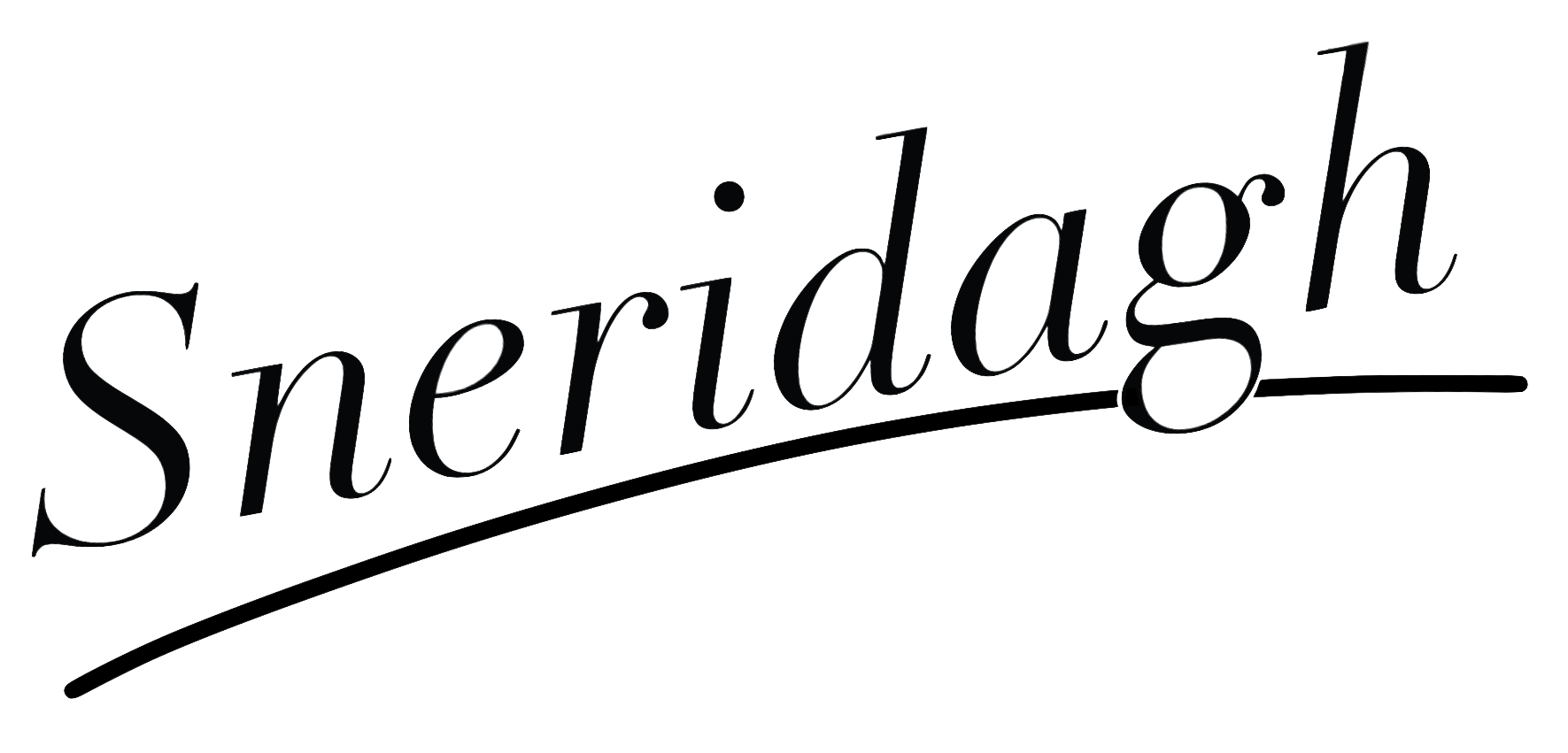 Logo of Sneridagh.dev