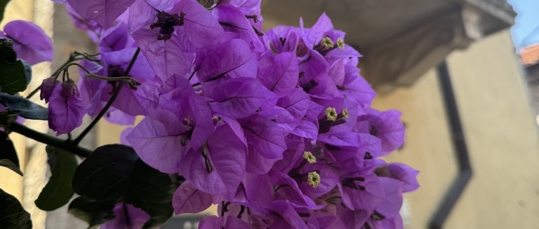 What we did last year