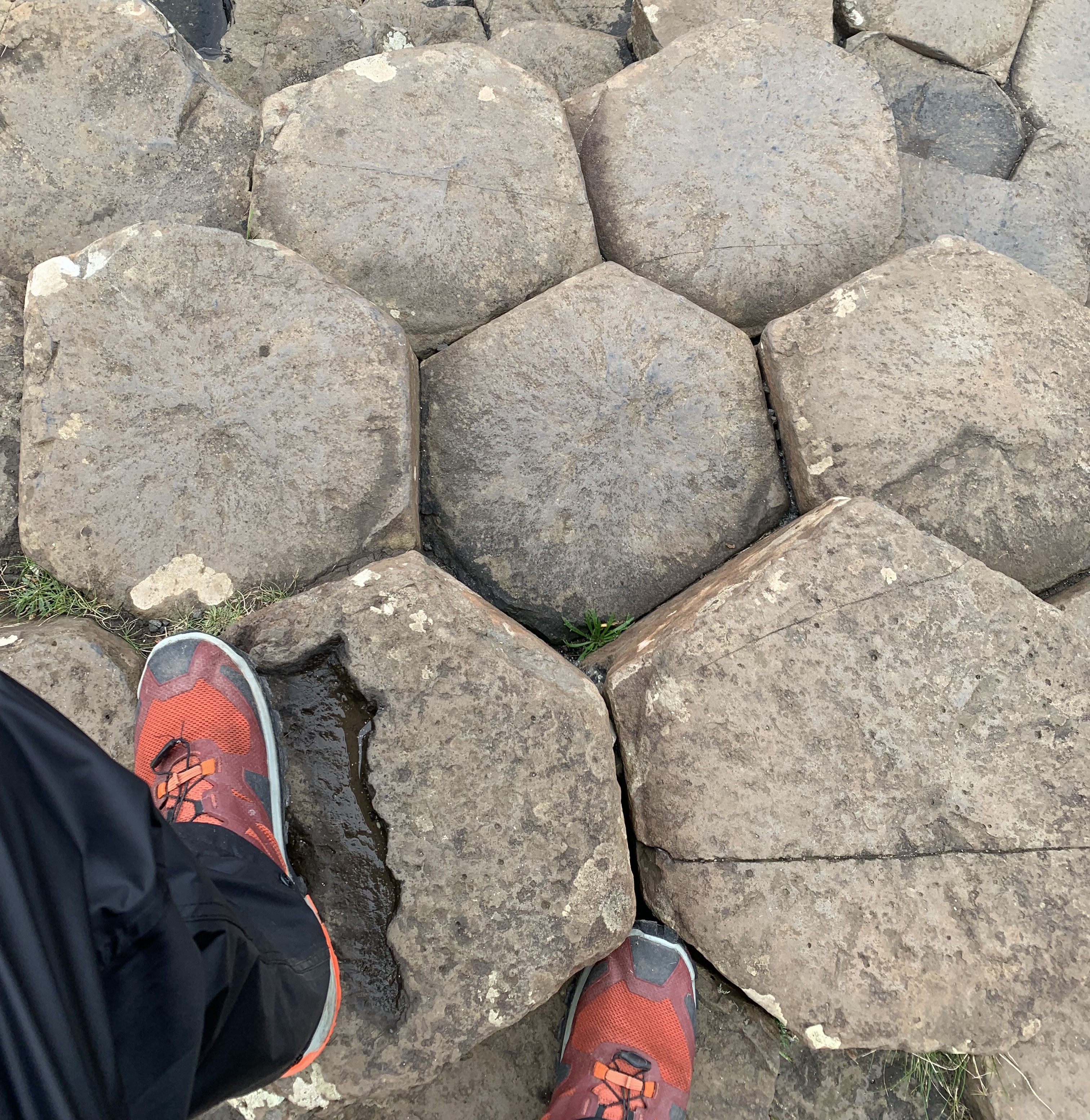 The Plone Volto Monorepo