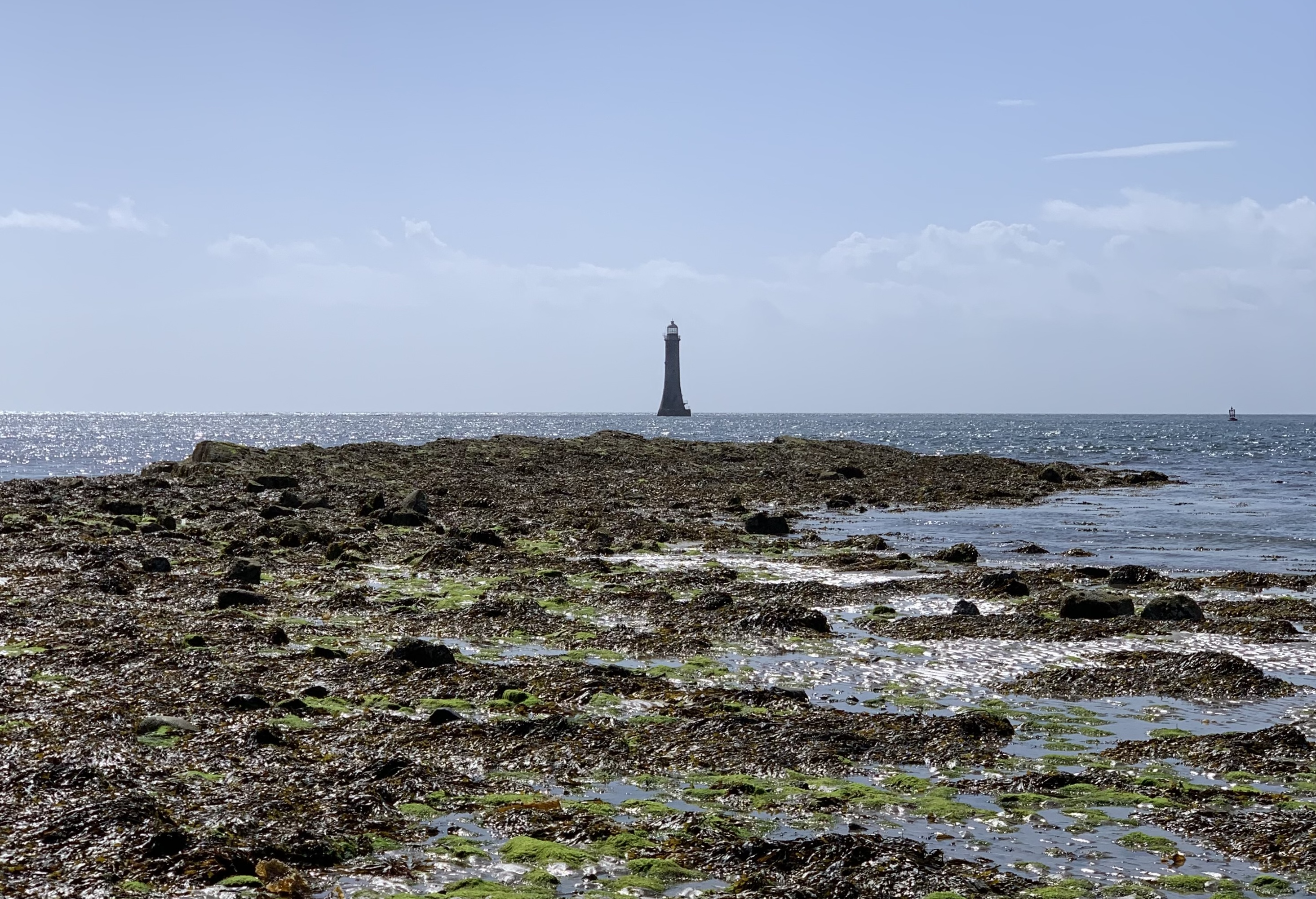 A new build setup for Volto