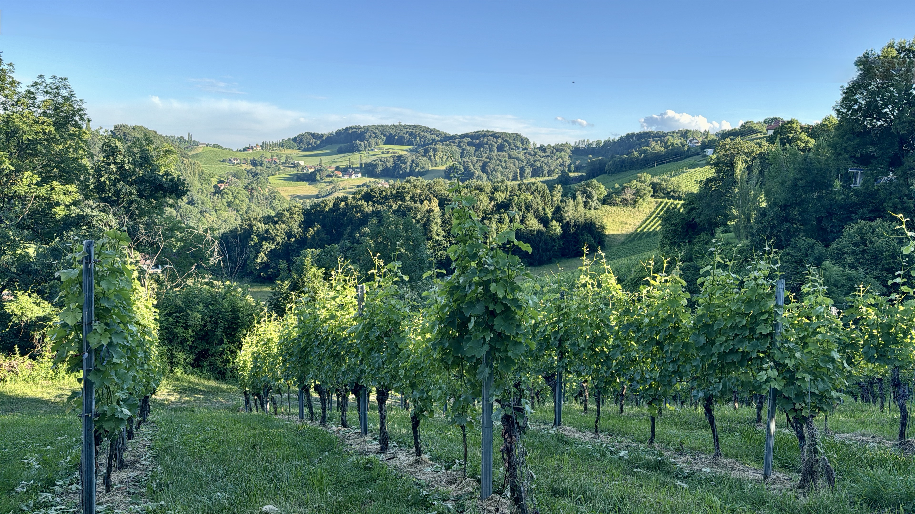 Sprint, sprint, sprint!